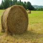 foin de prairie
