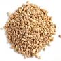 Recherche Vendeur d'orge/ Barley