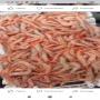 poissons congel&eacute;
