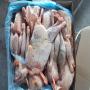 Vente des poissons par conteneurs