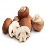 mushroom dry ready for sale