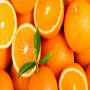 MANDARINE,CLEMENTINE,ORANGES (PORTUGAL)