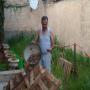 elevage et extraction de bave d'escargots 
