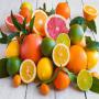 citrus de Turquie