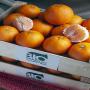 Vend cl&eacute;mentines certifi&eacute;es biologiques du Maroc