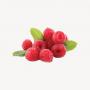 vendeur  de frambois fraises et myrtilles 