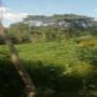 PARCELLE AGRİCOLE NON PLANTE EN VENTE 