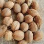 Vente des produits agricoles