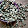 Produits agricoles en vente