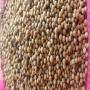 white pepper available