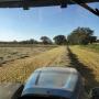 Foin, Hay, Hooi, Lucerne, luzerne, alfalfa
