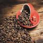 caf vert ,  torrfi (arabica et robusta) , poivre