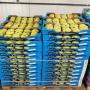 Fruits Avocat golden Apple 