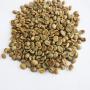 Wholesale Madagascar  Arabica Coffee  Beans  