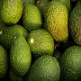 Avocat HASS 