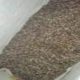 Frozen thaumatococcus daniellii for sale