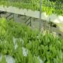 Sahel Bio Culture  