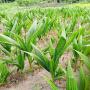 Nous sommes dispo pour les produits agricoles