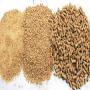 Aliments pour animaux de Turquie