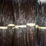 Bulk Vanilla Beans Quantity for Sale  