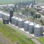STOCKAGE & TRAITEMENT de LEGUMINEUSES