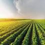 EQUIPEMENTS AGRICOLES