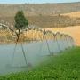 Syst&egrave;mes d'irrigation de plantations