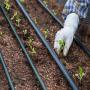 Prestation de services en agribusiness 