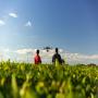 Prestation de services en agribusiness 