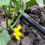 Prestation de services en agribusiness ...