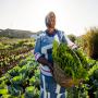 Prestation de services en agriculture 