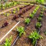 Service d'expertise en agronomie