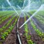 Prestation de services en irrigation agricole