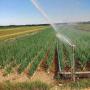 Prestation de service en irrigation agricole