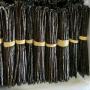 Vanilla Beans Exporter from Madagascar 