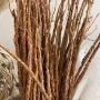 Produits naturels africain 