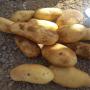 Vente pommes de terres export