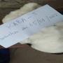 Recherch3 de fournisseur d'engrais