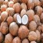 Noix de coco tr&egrave;s bon qualit&eacute;