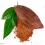 Recherche de fournisseurs des d&eacute;riv&eacute;s du cacao
