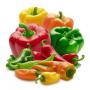PIMENTS  SEC