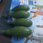 Avocat beurre  de qualit&eacute;