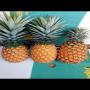 Ananas cayenne de qualit&eacute;s