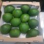 Avocats