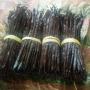 Madagascar Vanilla Beans  