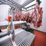 Vente abattoir avec usine viande rougeen tunisie 