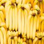 disponibl convention pour importation des bannane