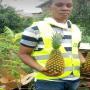 Ananas de qualit&eacute; dispo 