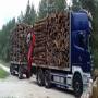 Grumes hetre et chene bois de chauffage et scie