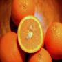 Oranges &agrave; Jus